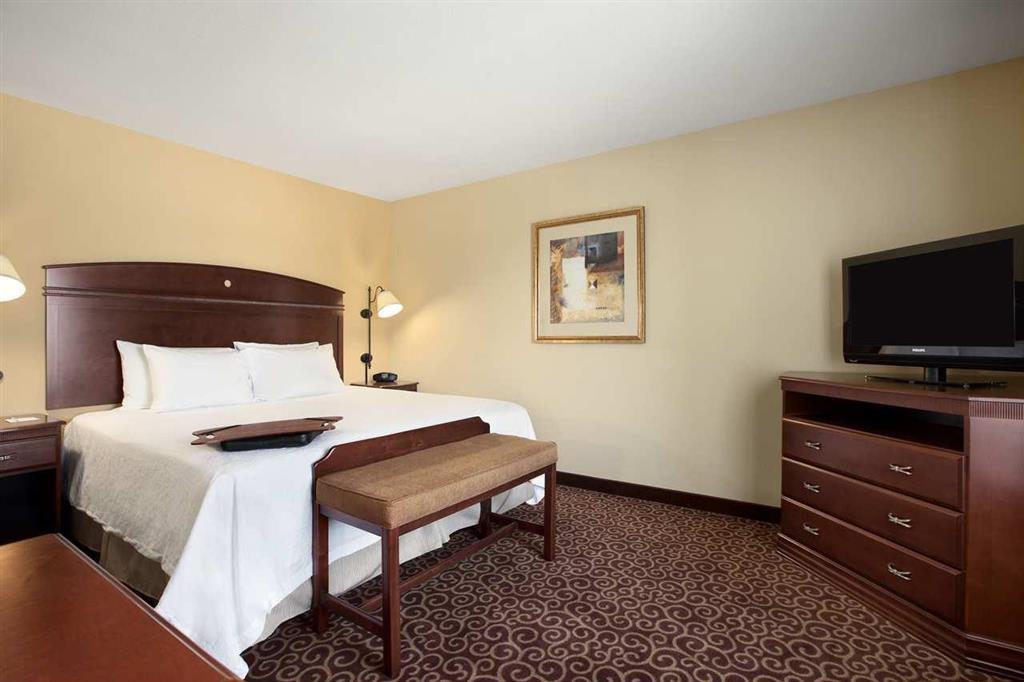 Hampton Inn & Suites Rochester-North Room photo